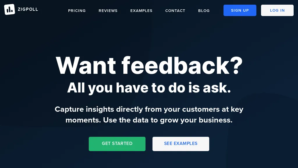 Chapple.ai